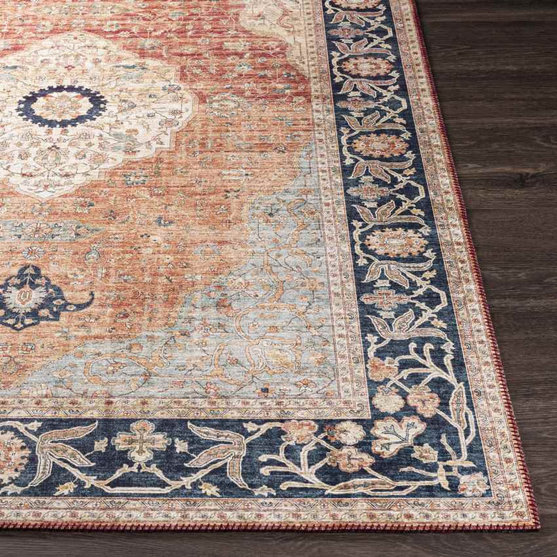 Lijndonk Traditional Burnt Orange Area Rug