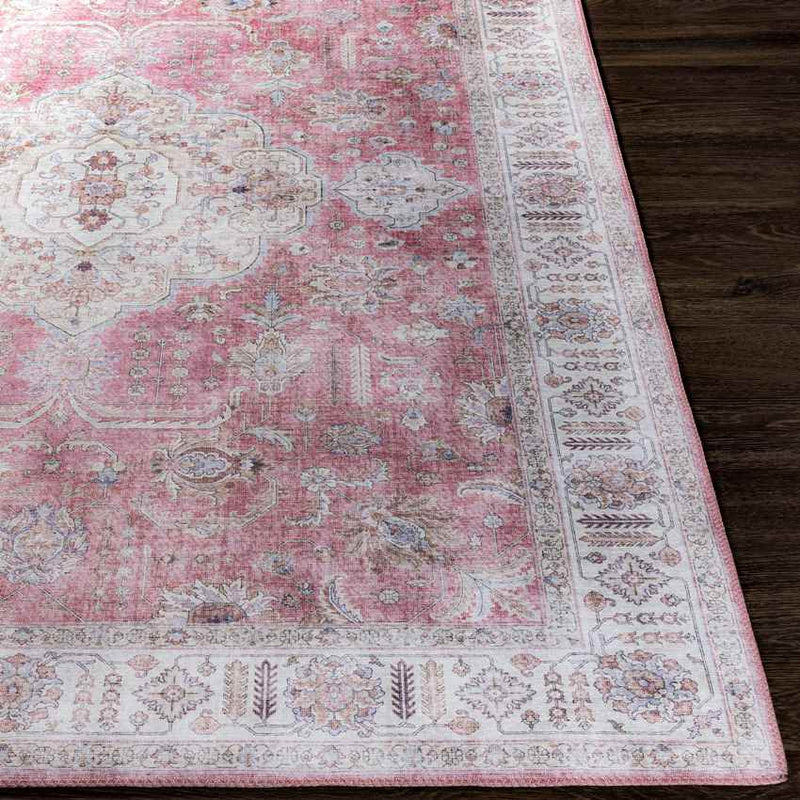 Loeswijk Traditional Pale Pink Area Rug