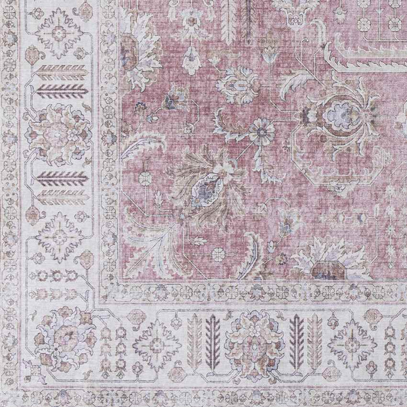 Loeswijk Traditional Pale Pink Area Rug