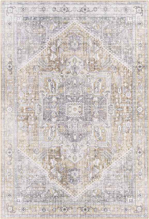 Maasdriel Traditional Light Gray Area Rug