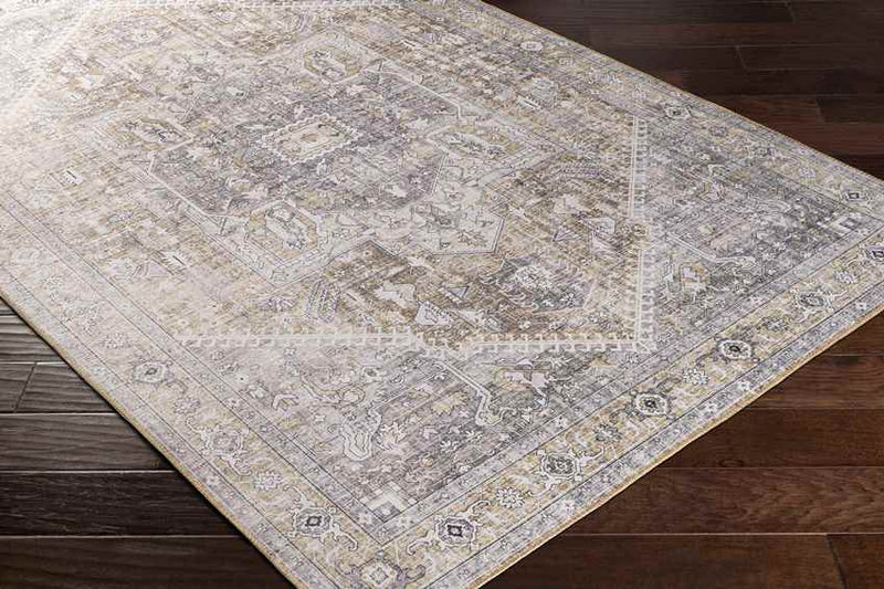 Maasdriel Traditional Light Gray Area Rug