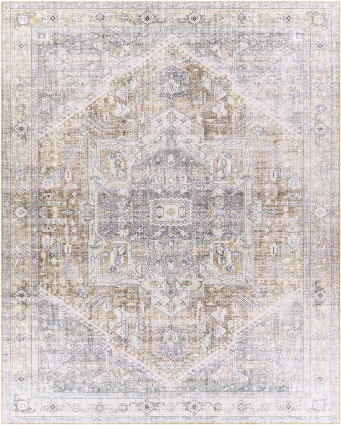 Maasdriel Traditional Light Gray Area Rug