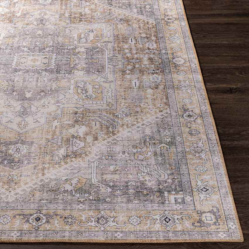 Maasdriel Traditional Light Gray Area Rug