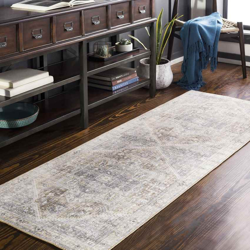 Maasdriel Traditional Light Gray Area Rug