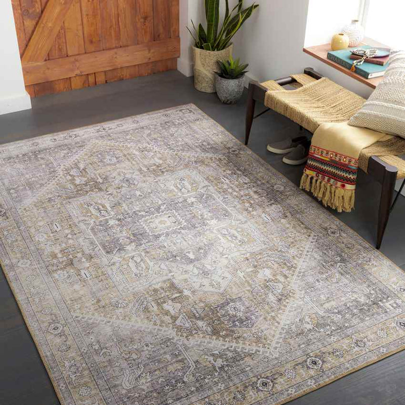 Maasdriel Traditional Light Gray Area Rug