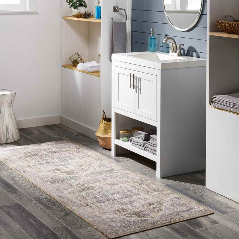 Maasdriel Traditional Light Gray Area Rug