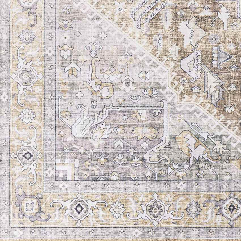 Maasdriel Traditional Light Gray Area Rug