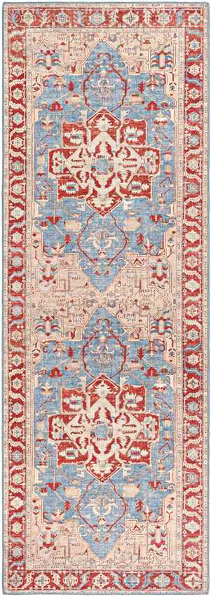 Maarheeze Traditional Burnt Orange Area Rug