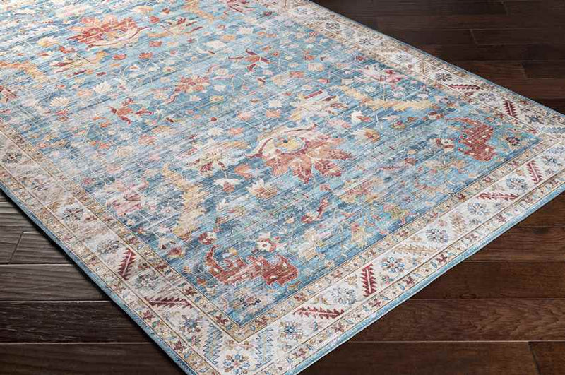 Meeren Traditional Sky Blue Area Rug