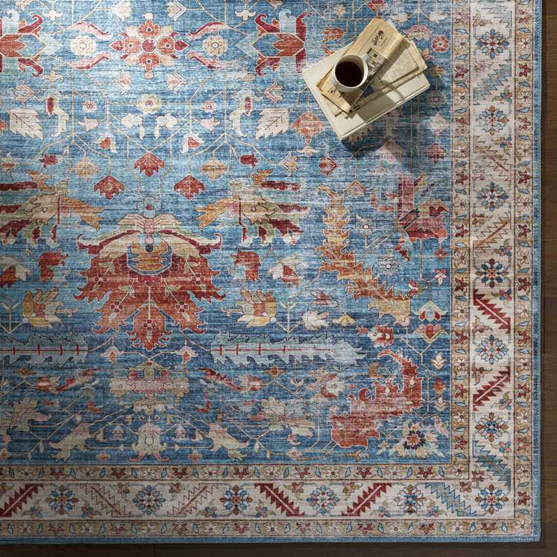 Meeren Traditional Sky Blue Area Rug