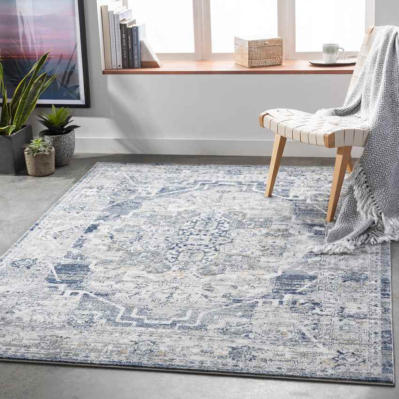 Milschot Traditional Medium Gray Area Rug