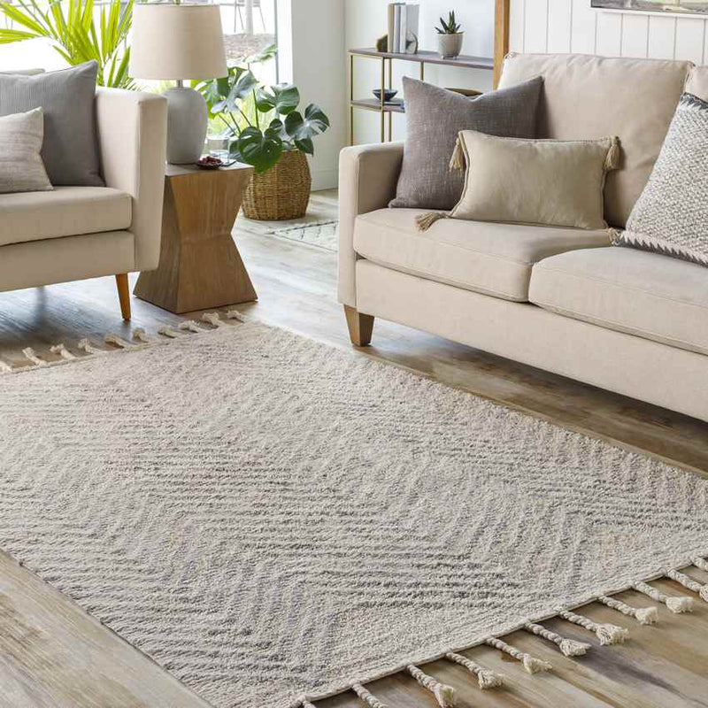 Noenes Global Light Gray Area Rug