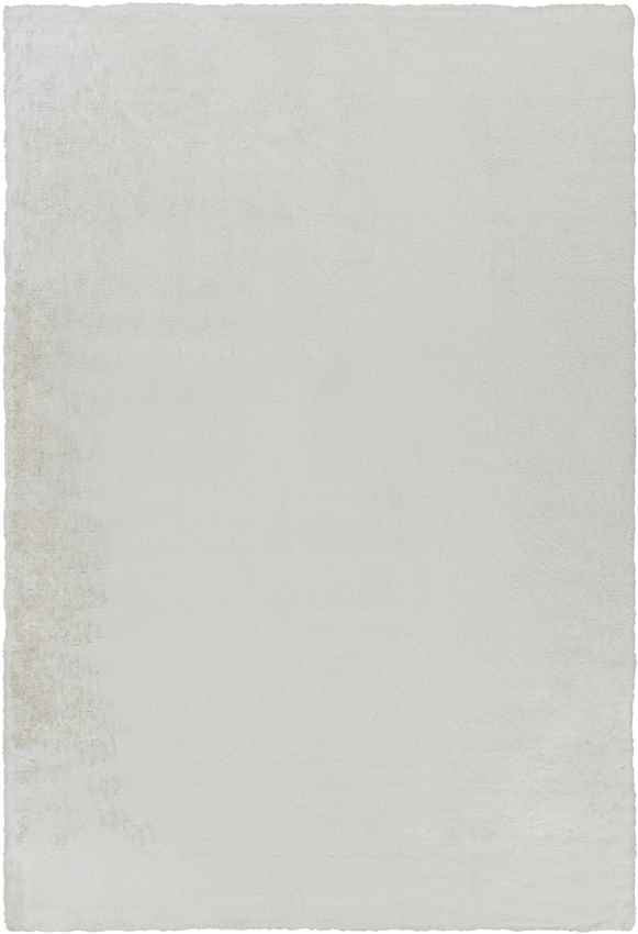 Pandgat Modern Cream Area Rug