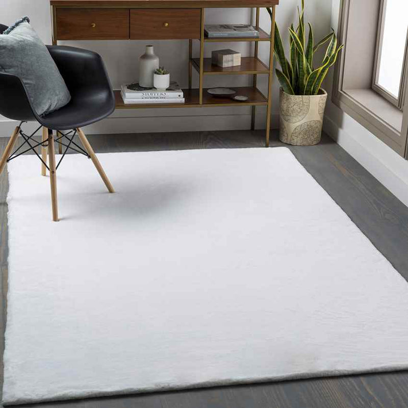 Pandgat Modern Cream Area Rug