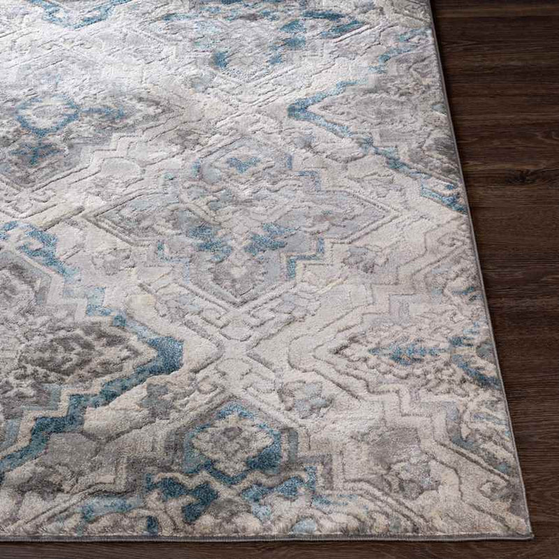 Raamsdonk Traditional Blue Area Rug