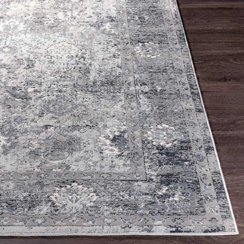 Lepanto Traditional Charcoal Area Rug