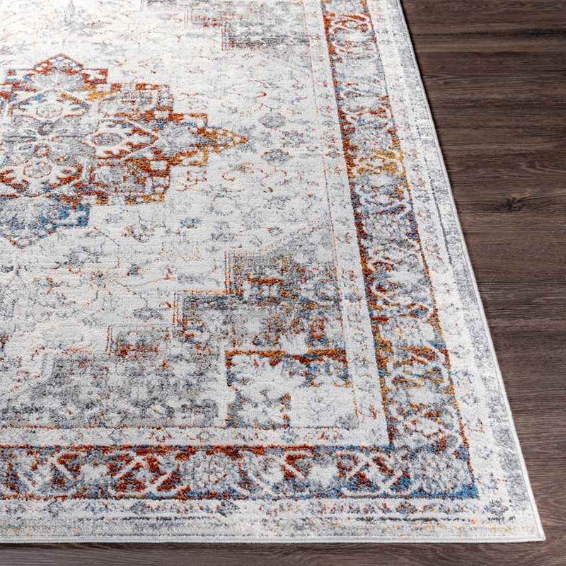 Leslie Traditional Burnt Orange Area Rug