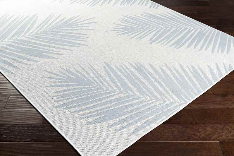 Spijkert Coastal Light Gray Area Rug