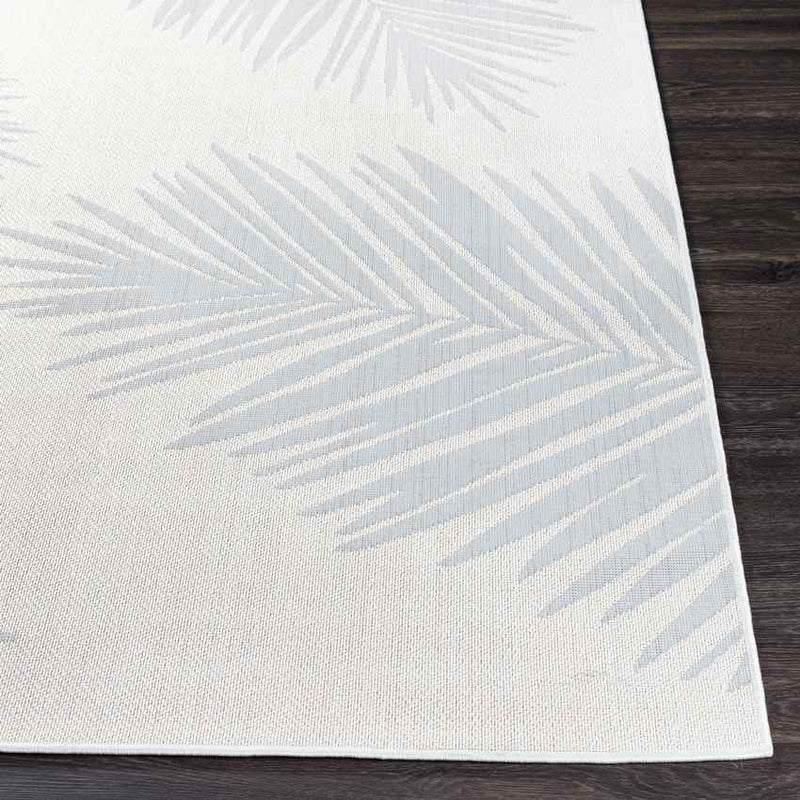 Spijkert Coastal Light Gray Area Rug