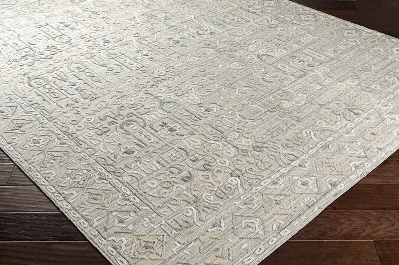 Tregelaar Traditional Beige Area Rug