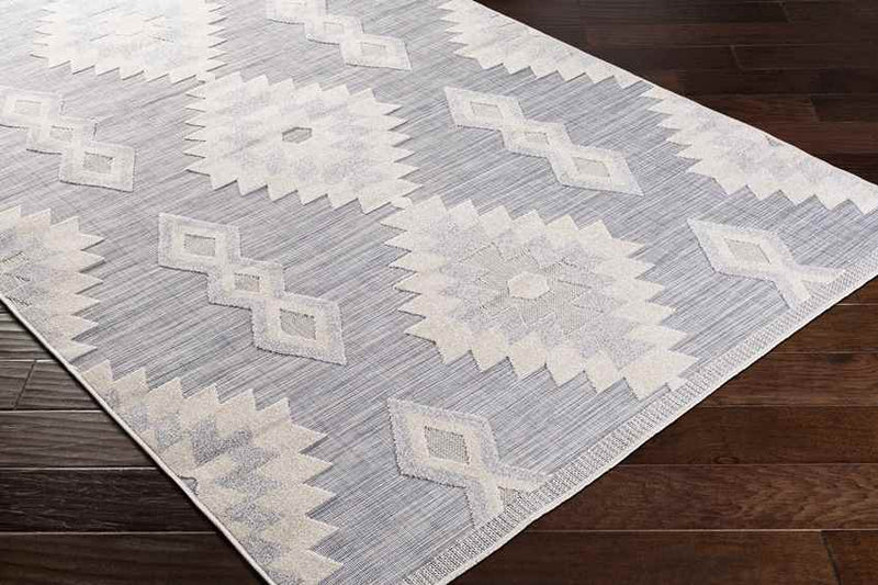 Venbergen Rustic Light Gray Area Rug