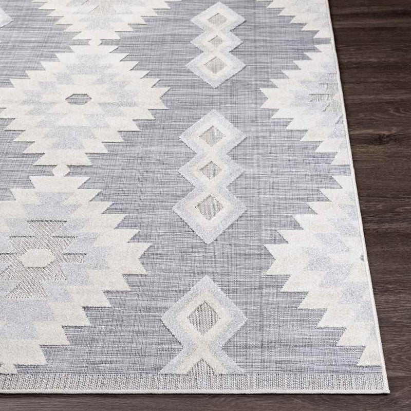 Venbergen Rustic Light Gray Area Rug