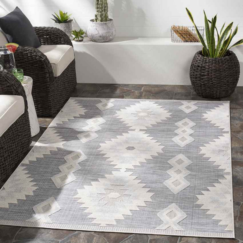 Venbergen Rustic Light Gray Area Rug