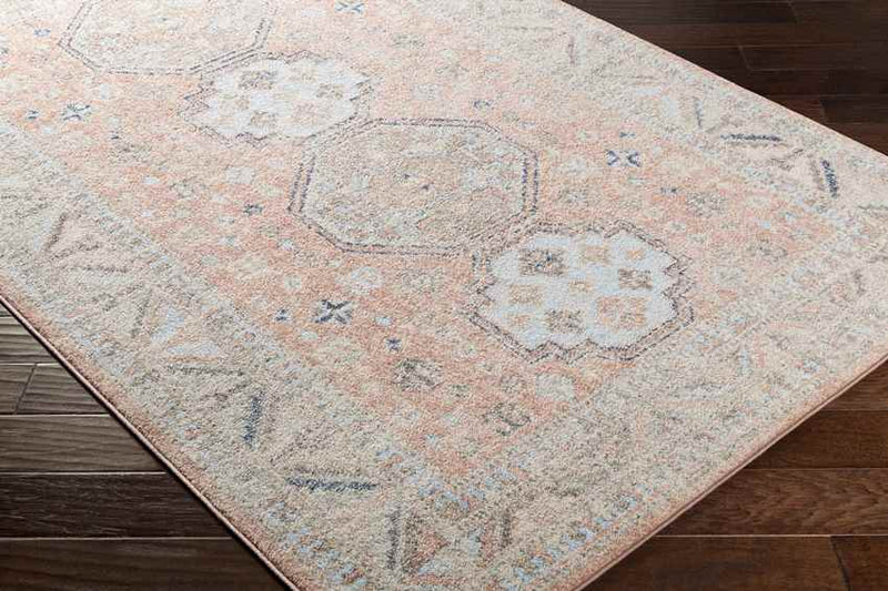 Fribourg Traditional Coral Area Rug