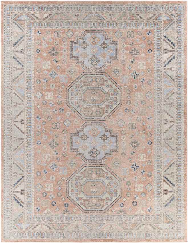 Fribourg Traditional Coral Area Rug