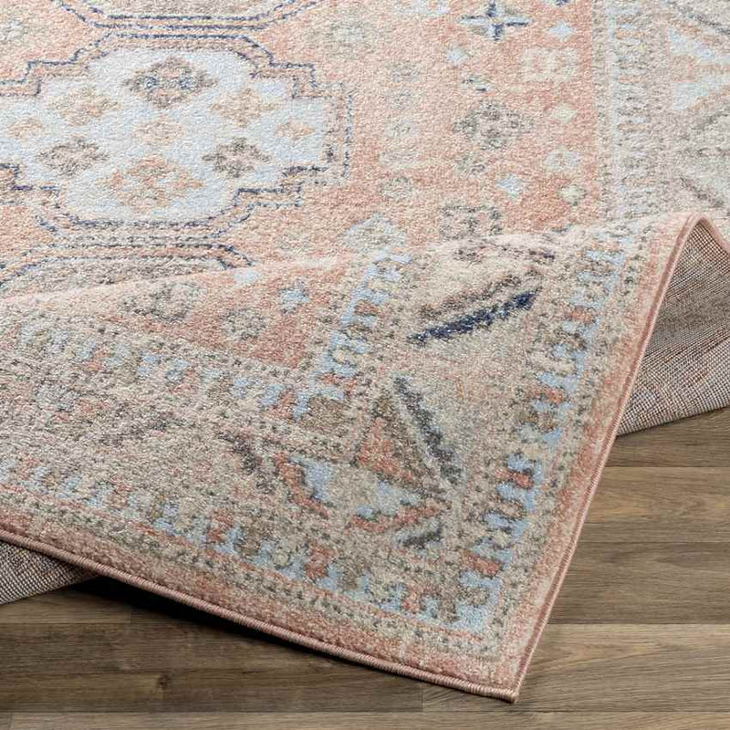 Fribourg Traditional Coral Area Rug