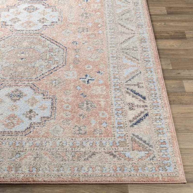 Fribourg Traditional Coral Area Rug