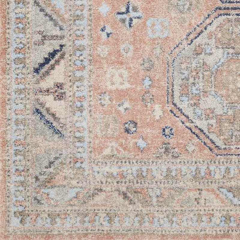 Fribourg Traditional Coral Area Rug