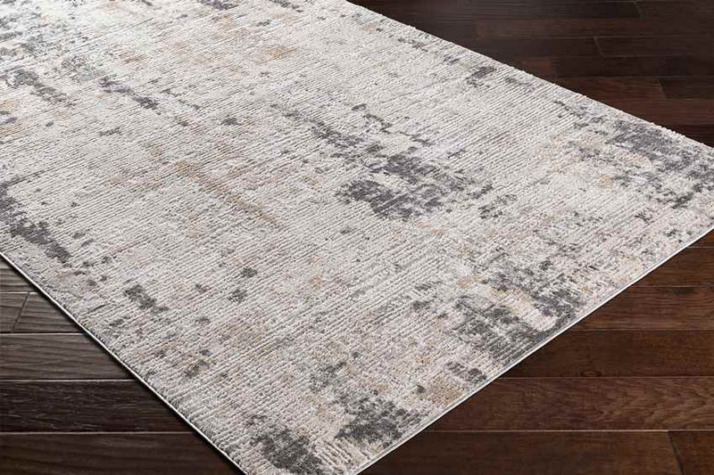 Vijcie Modern Medium Gray Area Rug