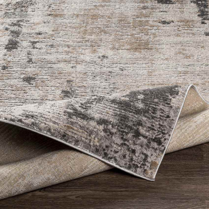 Vijcie Modern Medium Gray Area Rug