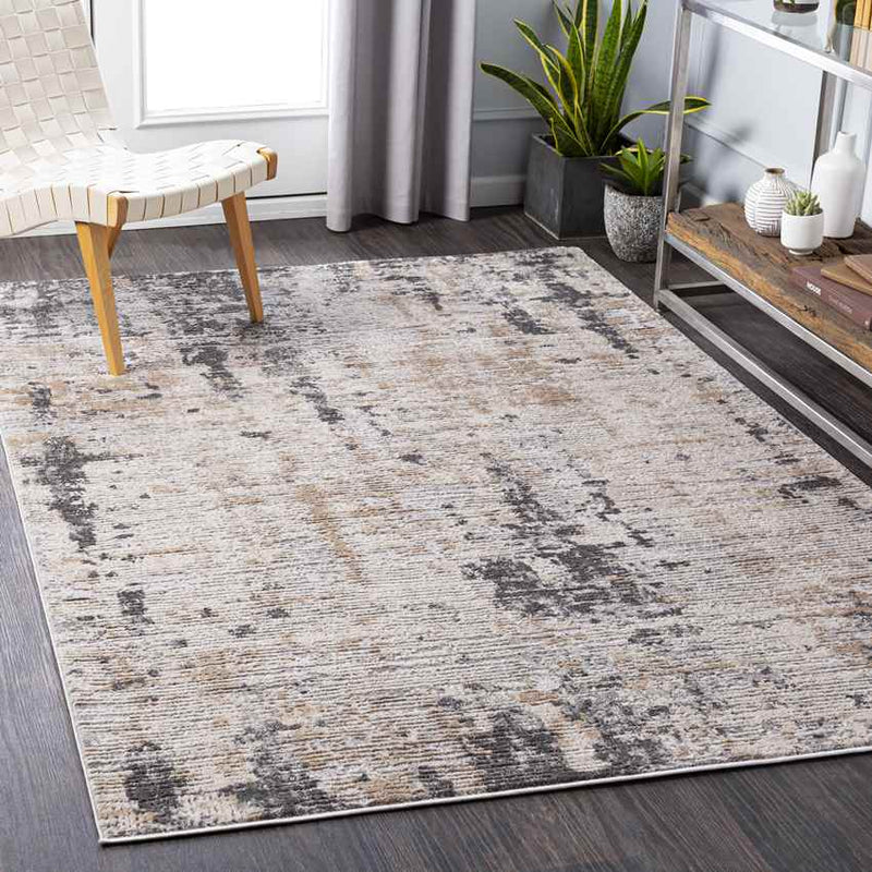 Vijcie Modern Medium Gray Area Rug