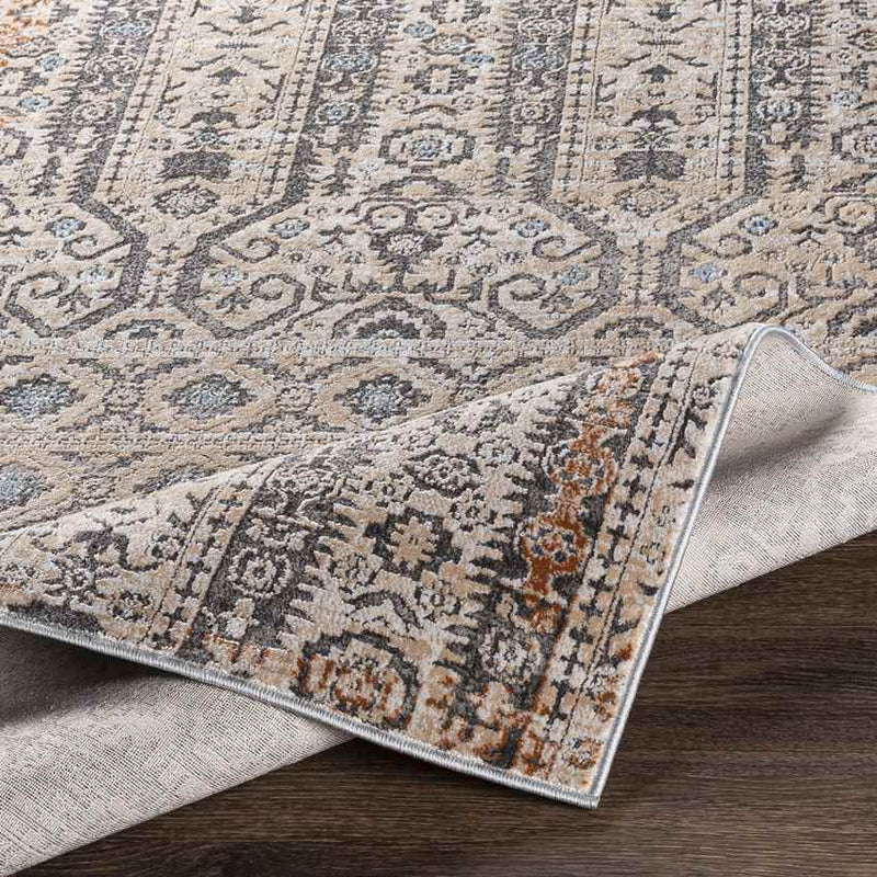 Vlierden Traditional Medium Gray Area Rug