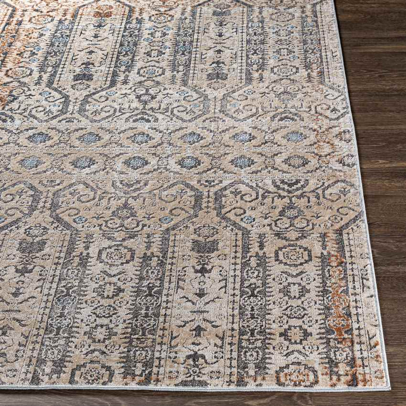 Vlierden Traditional Medium Gray Area Rug