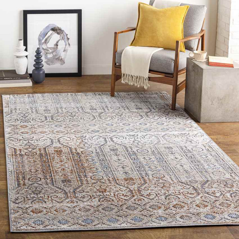 Vlierden Traditional Medium Gray Area Rug