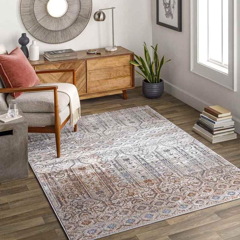 Vlierden Traditional Medium Gray Area Rug