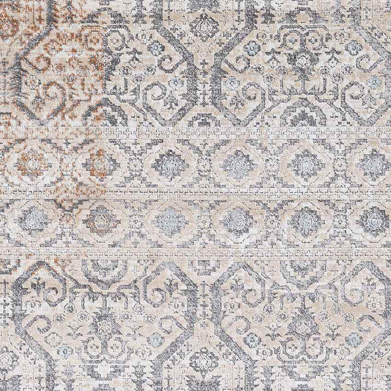 Vlierden Traditional Medium Gray Area Rug