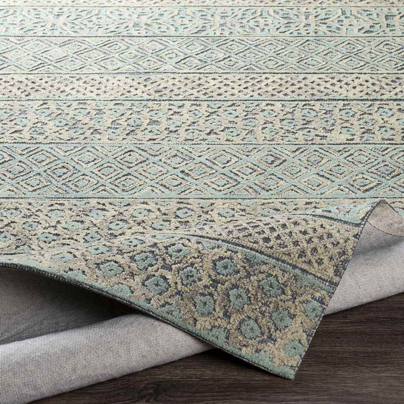 Zandoerle Global Beige/Sage Area Rug