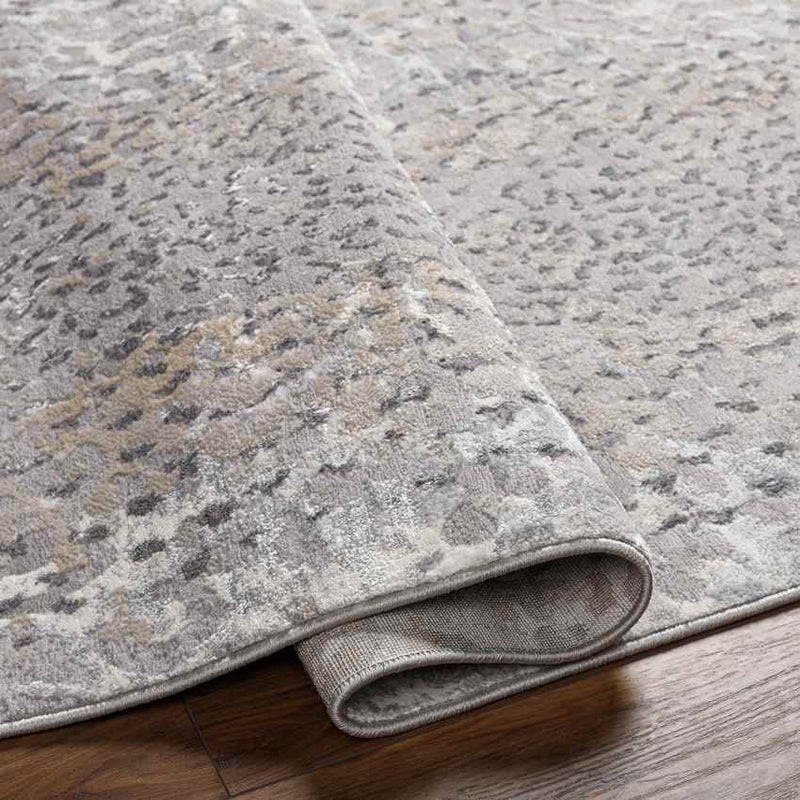 Oostrum Modern Light Gray Area Rug