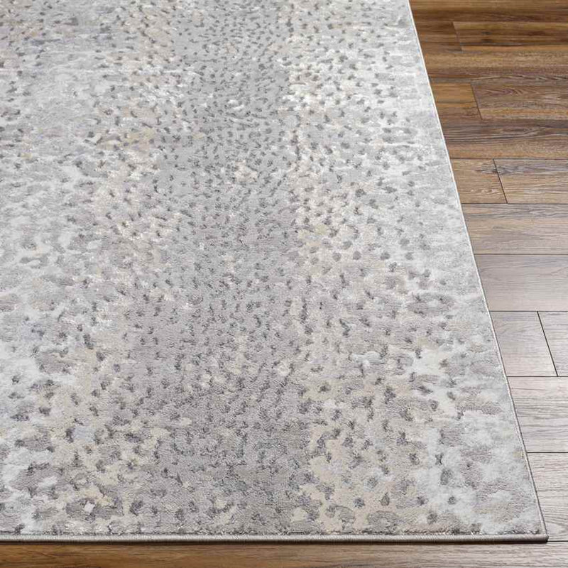 Oostrum Modern Light Gray Area Rug