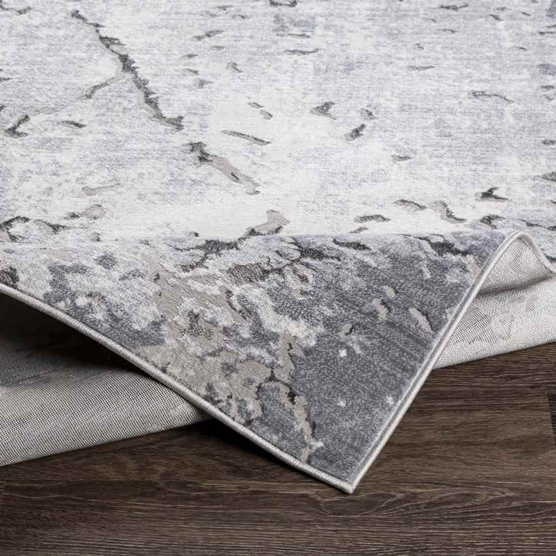 Ospel Modern Light Gray Area Rug