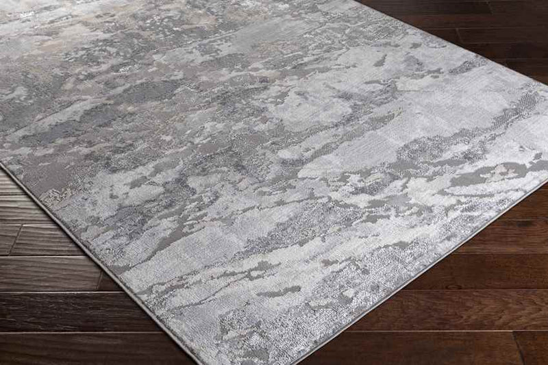 Oudekerk Modern Light Gray Area Rug