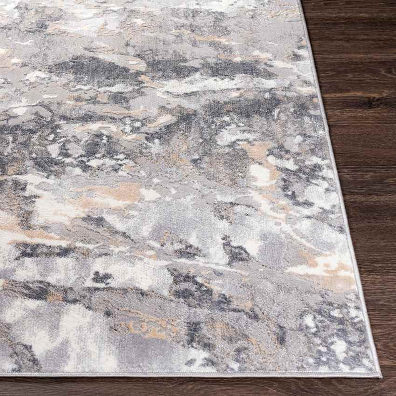 Oudekerk Modern Light Gray Area Rug