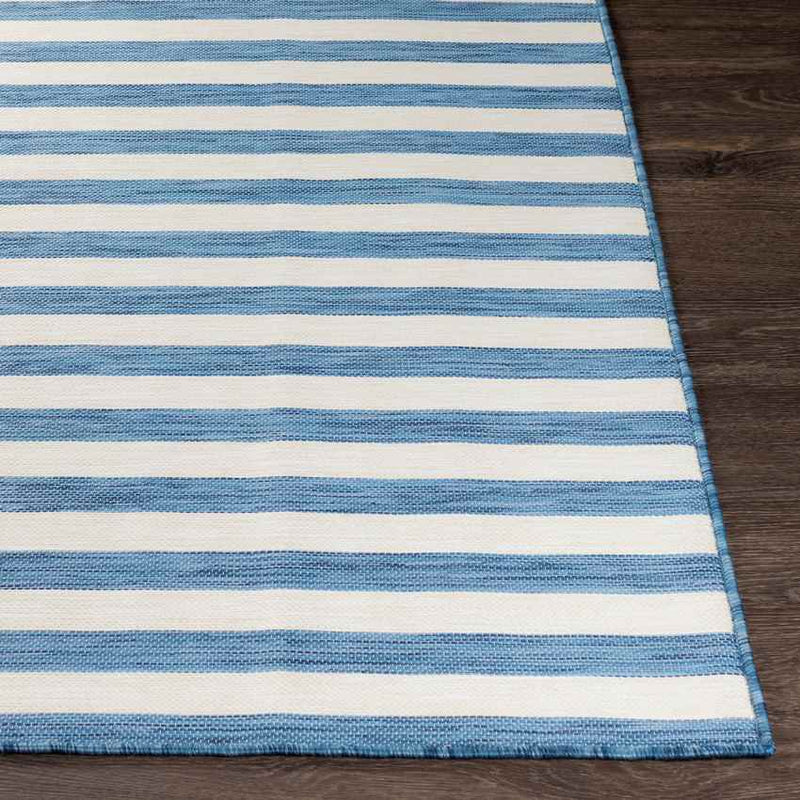 Alize Cottage Blue Area Rug