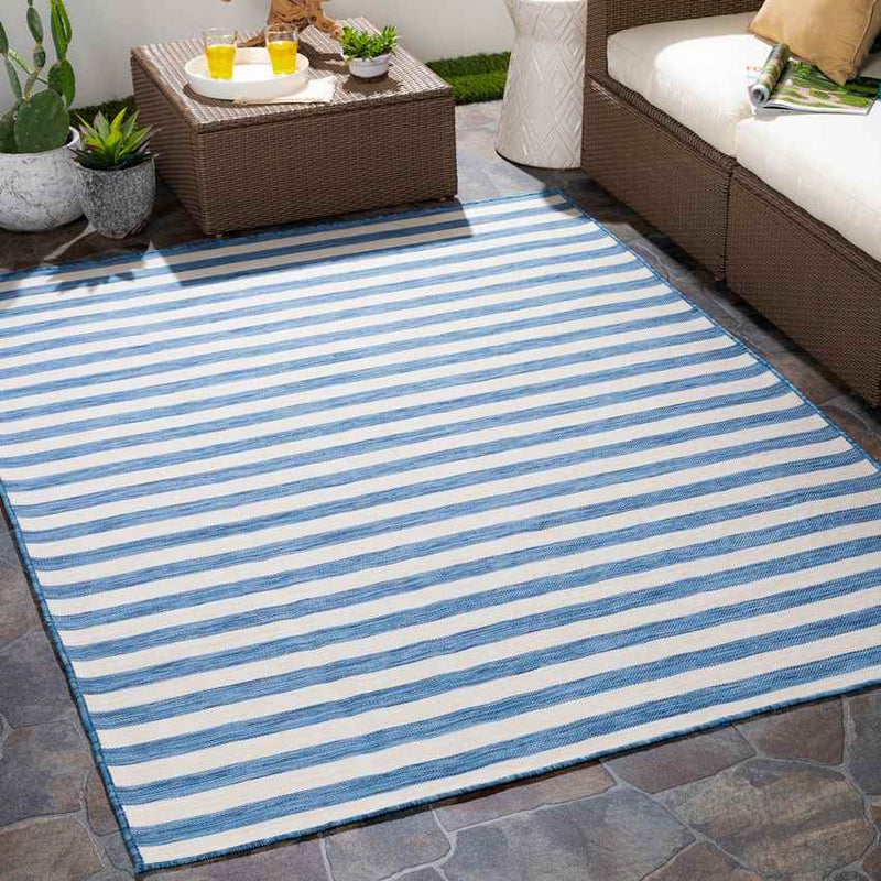 Alize Cottage Blue Area Rug