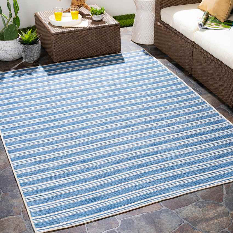 Papenbeek Cottage Denim Area Rug