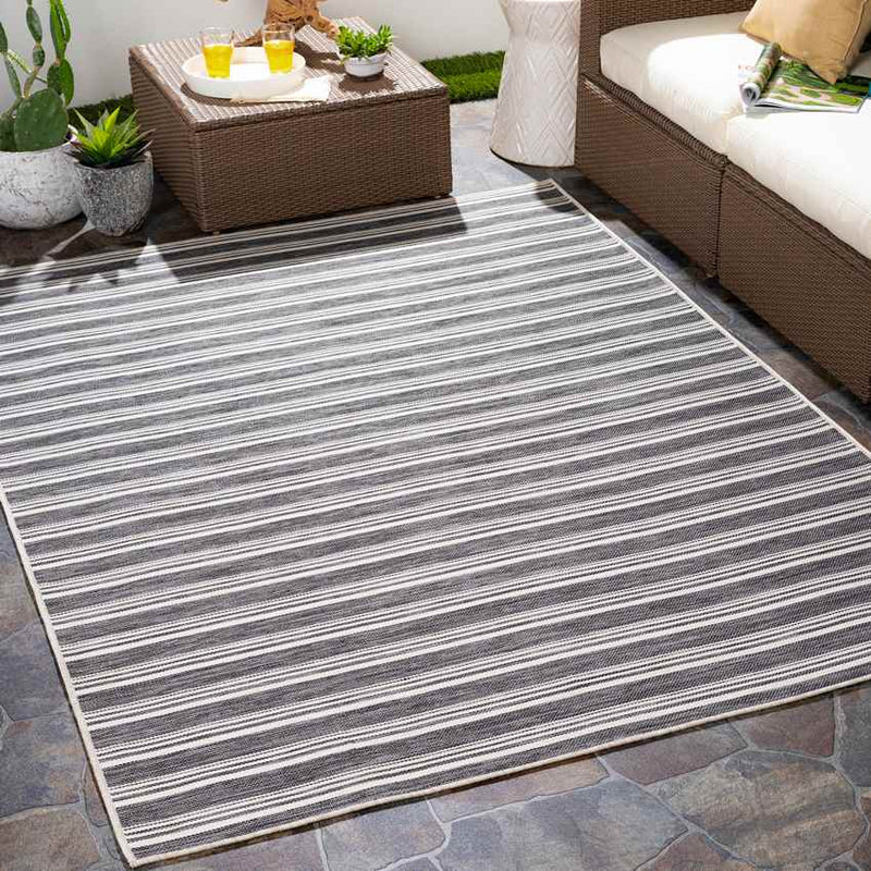 Papenbeek Cottage Charcoal Area Rug